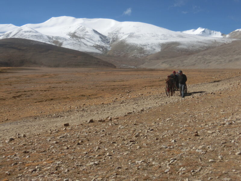 Brache Landschaft: Auf der tibetischen Hochebene können nur wenige Pflanzen überleben.